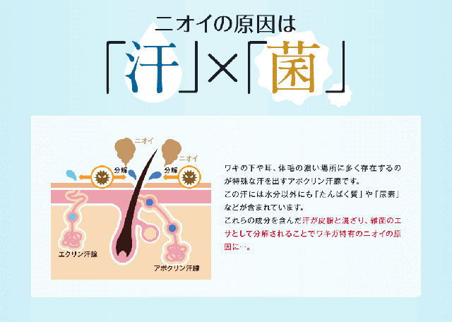 クリアネオクリーム4